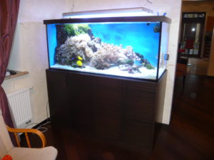 Облицовка аквариума шпоном Зебрано на заказ - фото